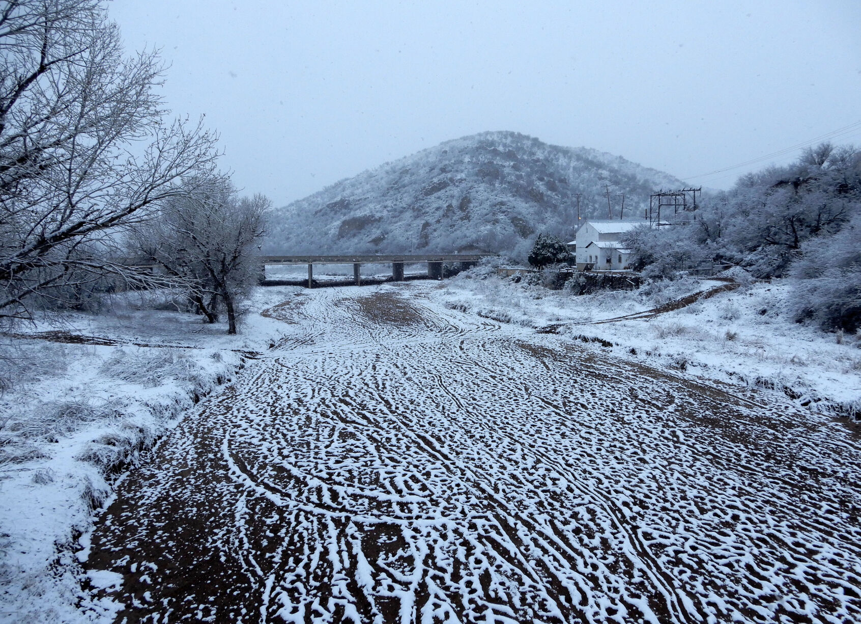 Snow, Santa Cruz County, 2023